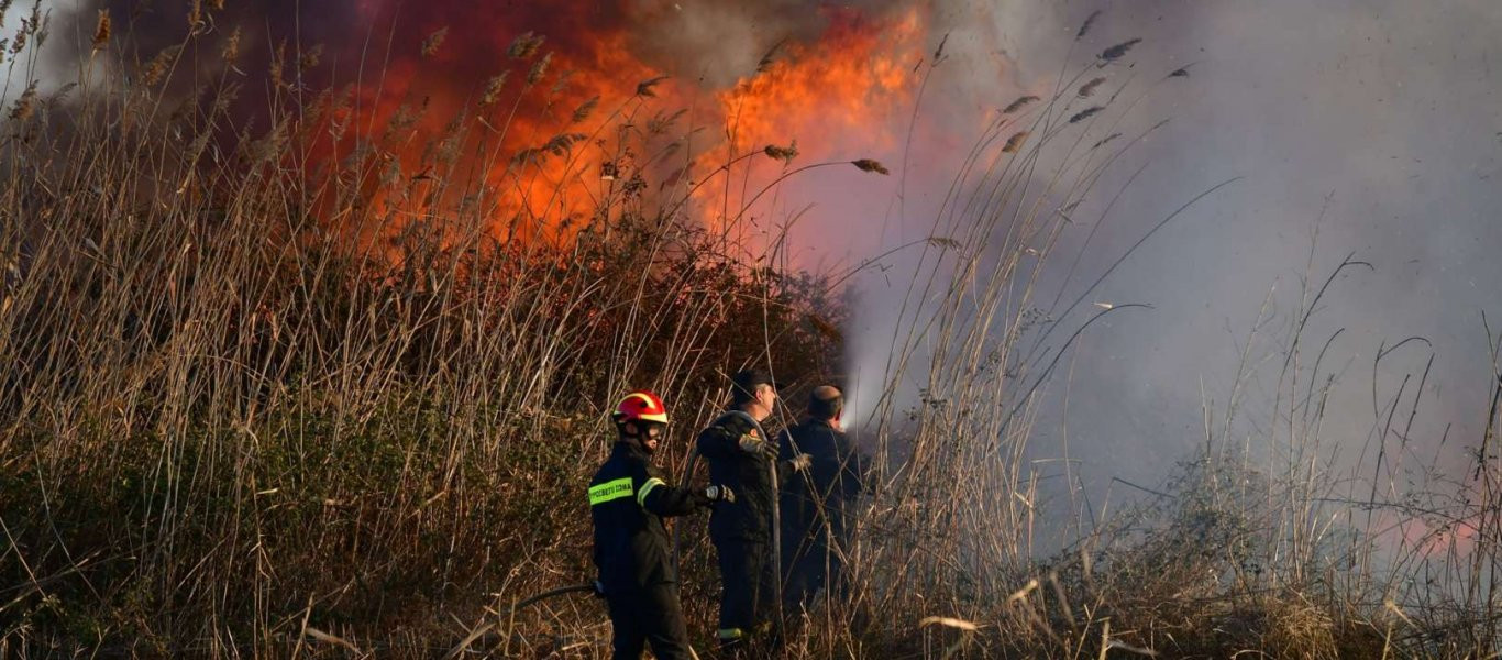 Άργος: Πυρκαγιά στον λόφο Ασπίδος - Στο σημείο η Πυροσβεστική